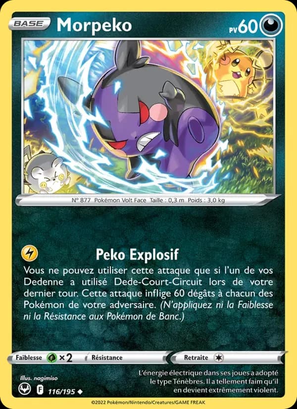 Morpeko — Tempête Argentée 116 French Pokémon card