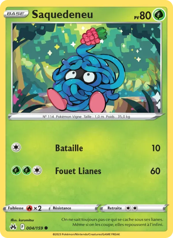Saquedeneu — Zénith Suprême 4 French Pokémon card