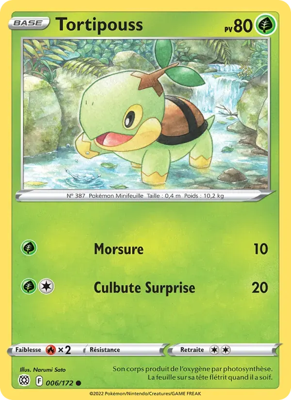 Tortipouss — Stars Étincelantes 6 French Pokémon card