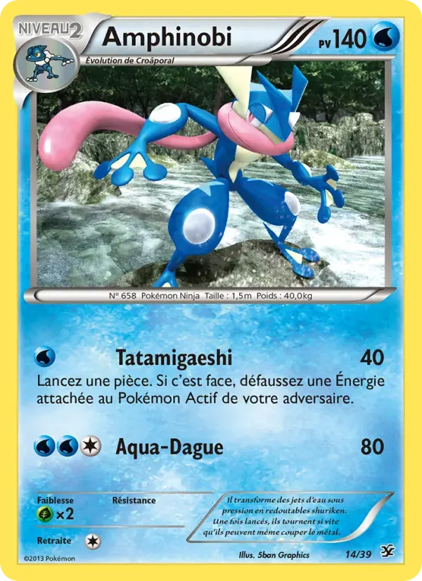 Amphinobi — Bienvenue à Kalos 14 French Pokémon card