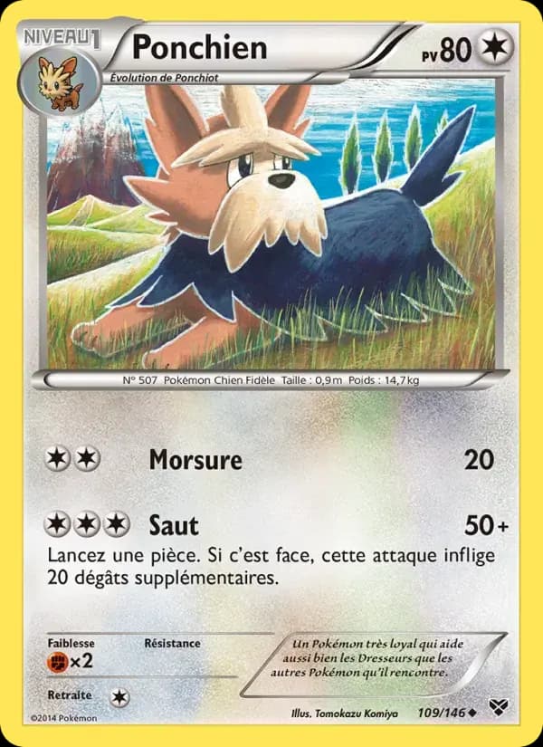 Ponchien — XY 109 French Pokémon card