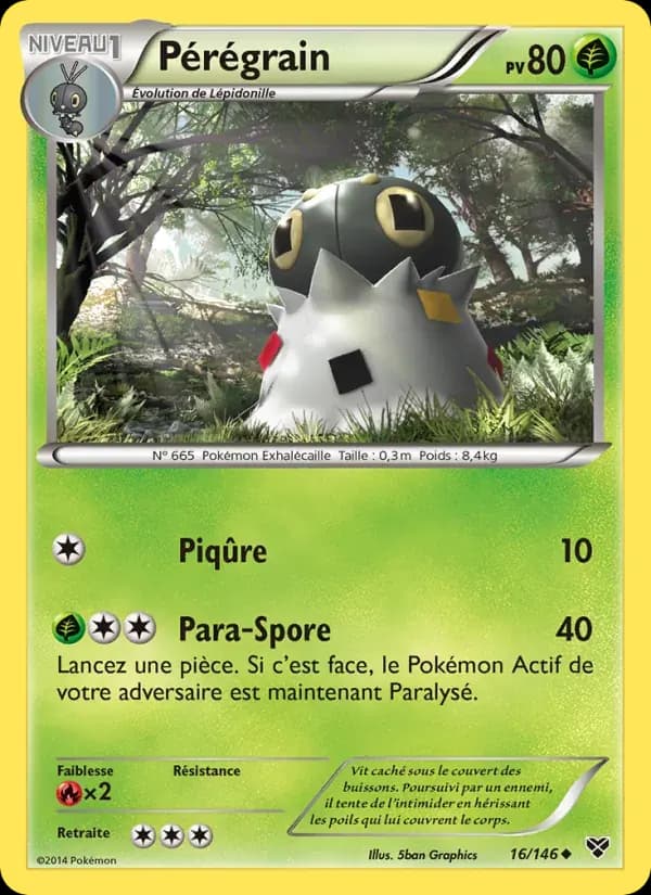 Pérégrain — XY 16 French Pokémon card