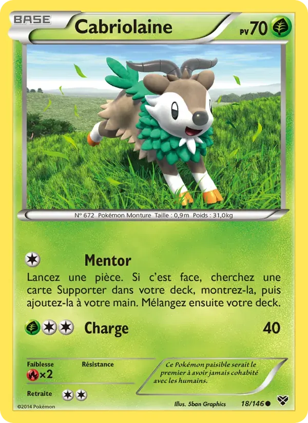 Cabriolaine — XY 18 French Pokémon card