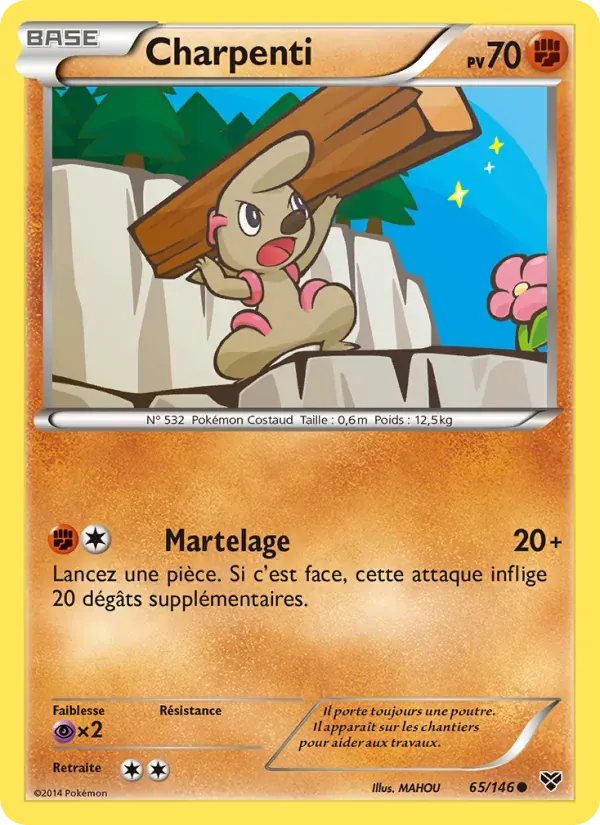 Charpenti — XY 65 French Pokémon card