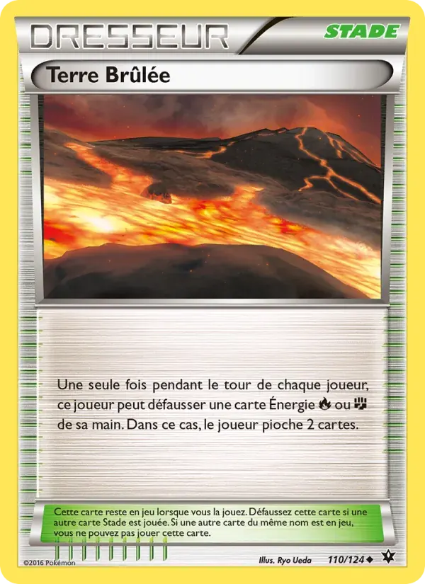Terre Brûlée — Impact des Destins 110 French Pokémon card