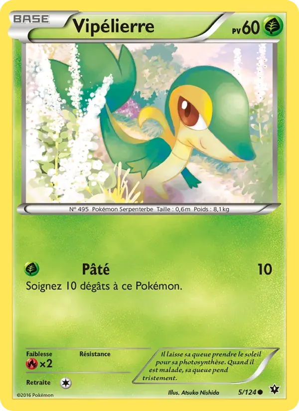 Vipélierre — Impact des Destins 5 French Pokémon card