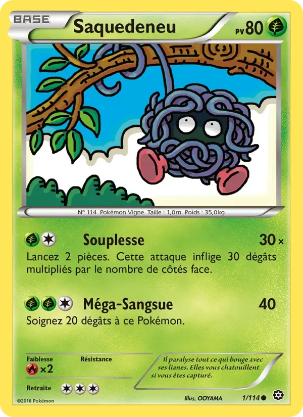 Saquedeneu — Offensive Vapeur 1 French Pokémon card