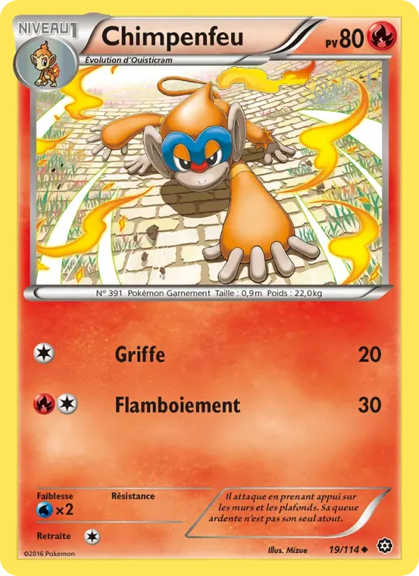 Chimpenfeu — Offensive Vapeur 19 French Pokémon card