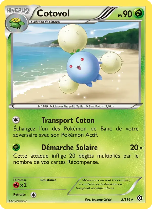 Cotovol — Offensive Vapeur 5 French Pokémon card