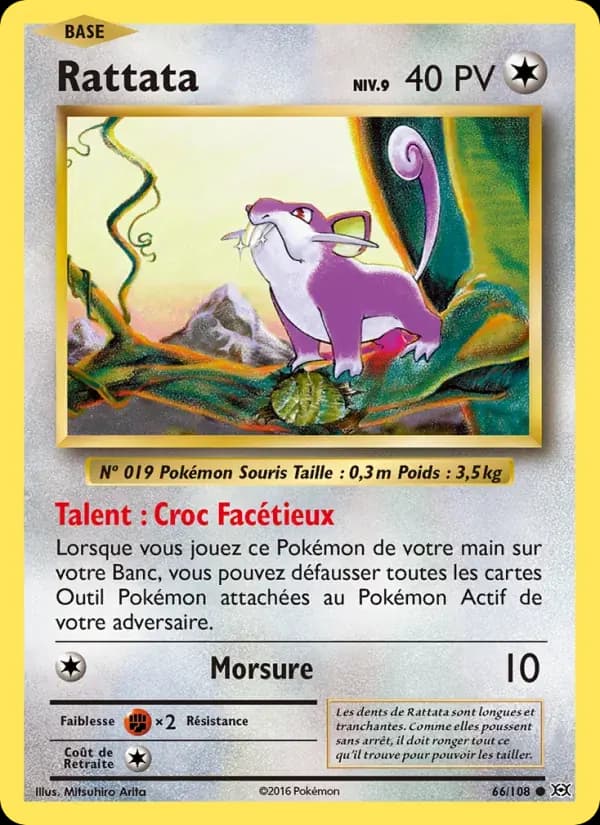 Rattata — Évolutions 66 French Pokémon card