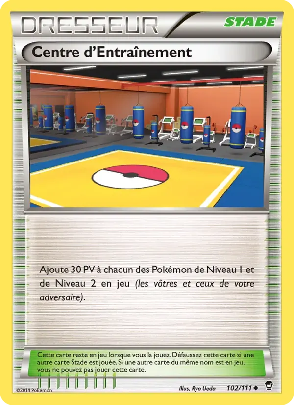 Centre d'Entraînement — Poings Furieux 102 French Pokémon card