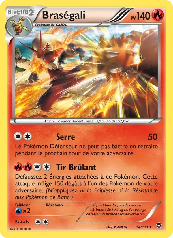 Braségali — Poings Furieux 14 French Pokémon card
