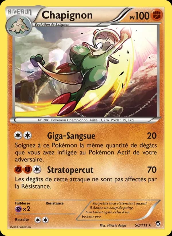 Chapignon — Poings Furieux 50 French Pokémon card