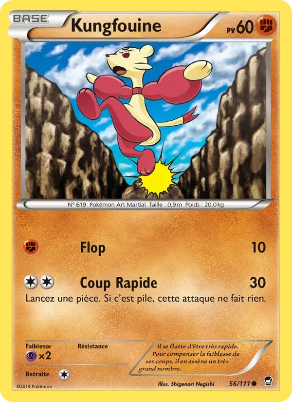 Kungfouine — Poings Furieux 56 French Pokémon card