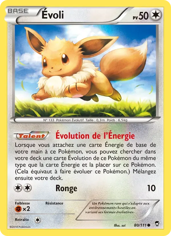 Évoli — Poings Furieux 80 French Pokémon card