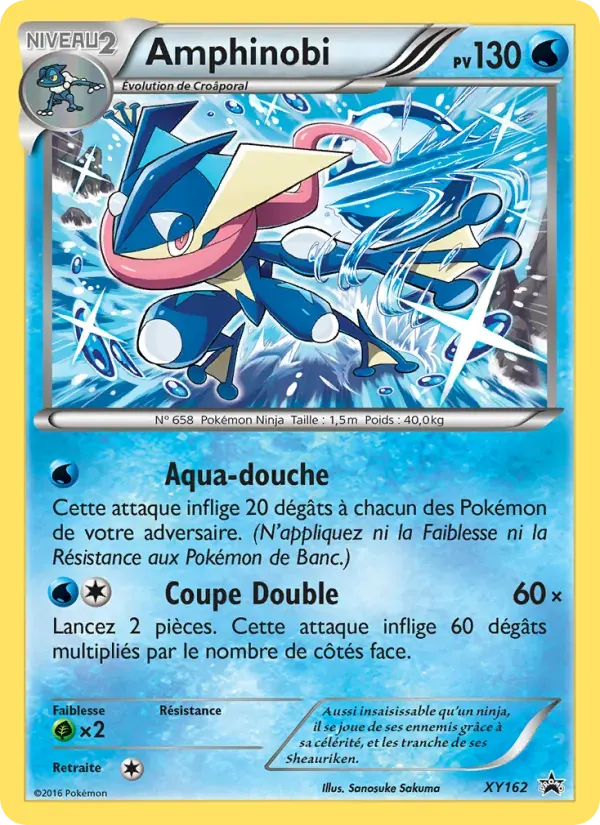 Amphinobi — Promo XY XY162 French Pokémon card