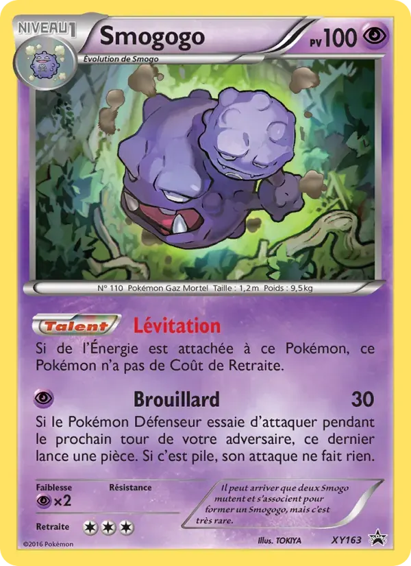 Smogogo — Promo XY XY163 French Pokémon card