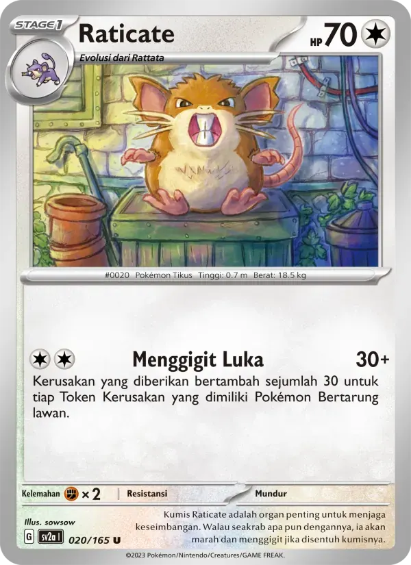 Raticate — SV2A 20 Indonesian Pokémon card