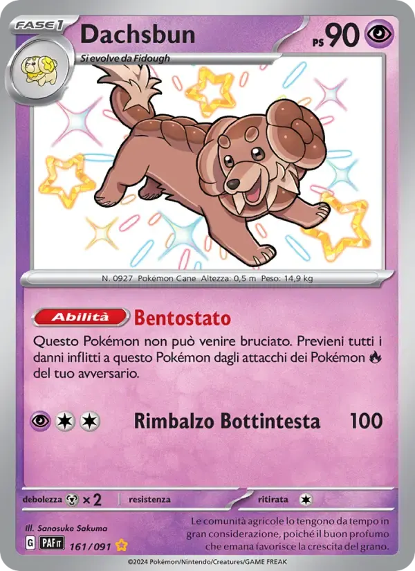 Dachsbun — Destino di Paldea 161 Italian Pokémon card
