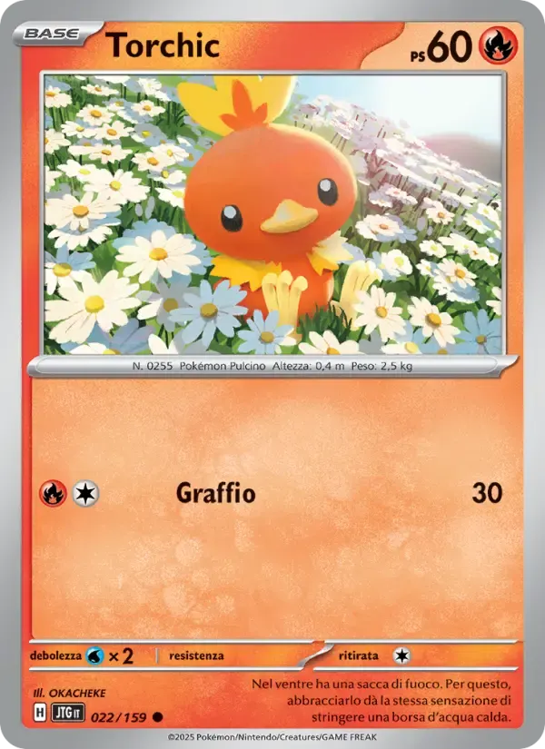 Torchic — Avventure Insieme 22 Italian Pokémon card