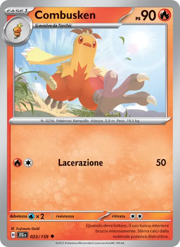 Combusken — Avventure Insieme 23 Italian Pokémon card
