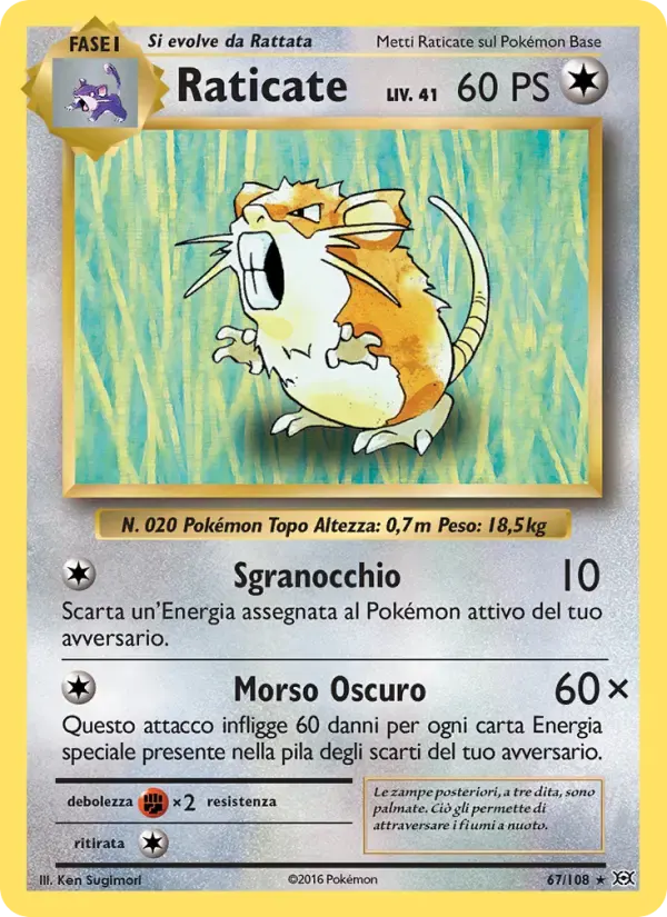 Raticate — Evoluzioni 67 Italian Pokémon card