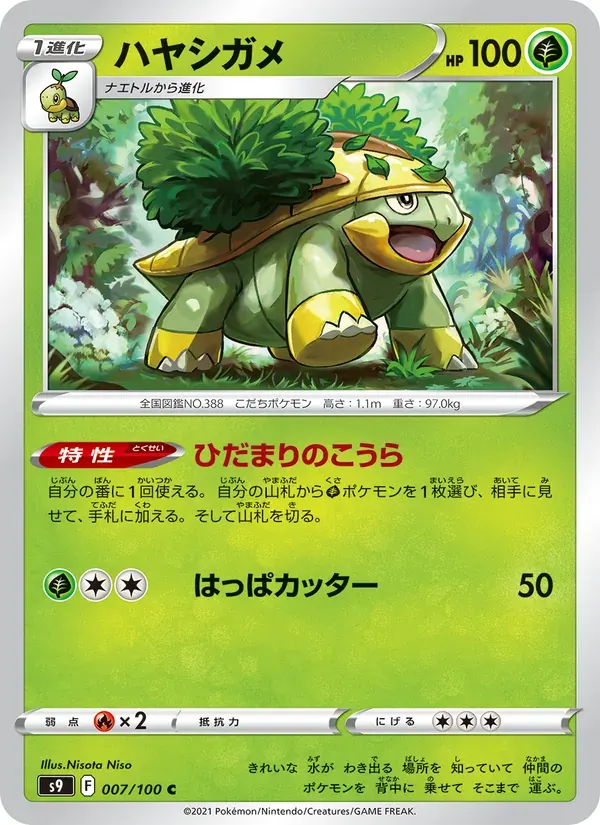 ハヤシガメ — S9 007 Japanese Pokémon card