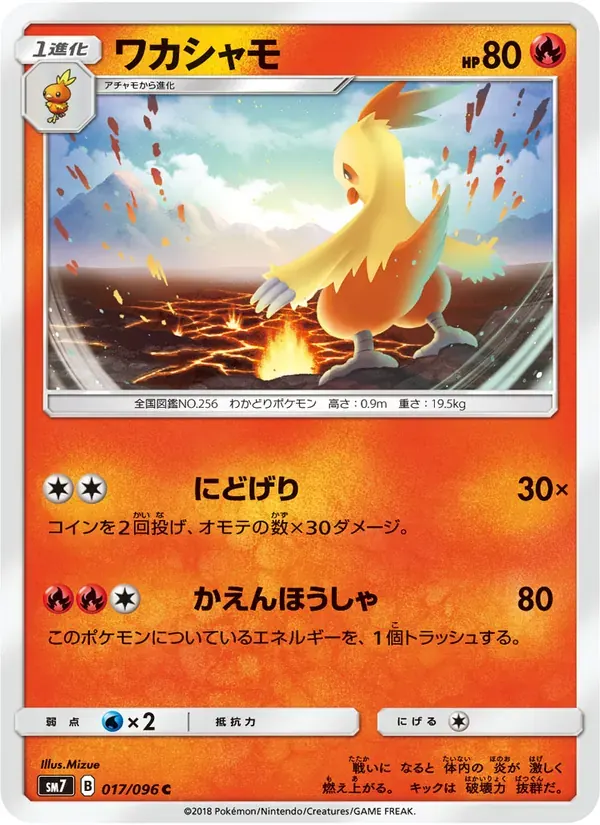 ワカシャモ — SM7 017 Japanese Pokémon card