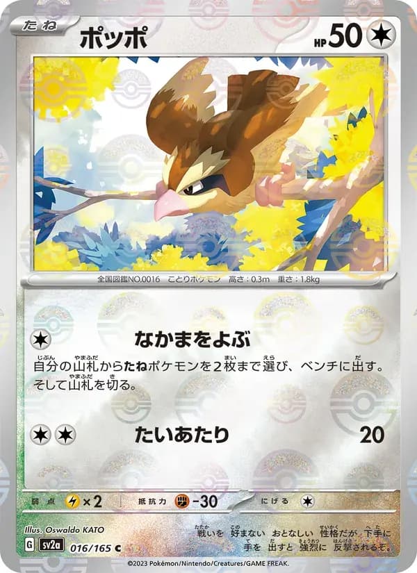 ポッポ — SV2A 016 Japanese Pokémon card
