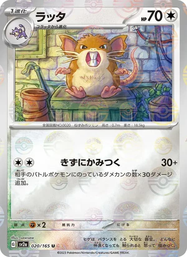 ラッタ — SV2A 020 Japanese Pokémon card