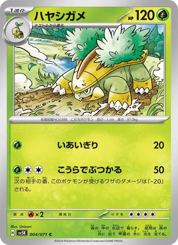 ハヤシガメ — SV5K 004 Japanese Pokémon card