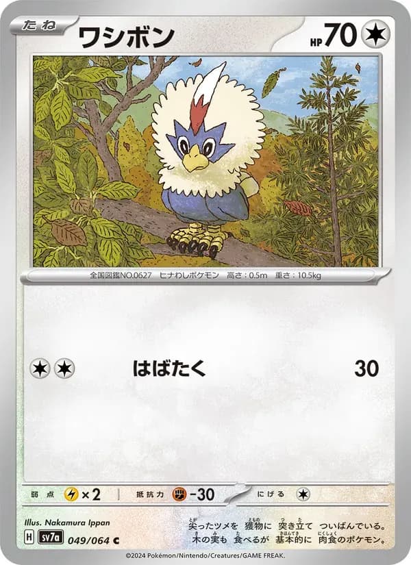 ワシボン — SV7A 049 Japanese Pokémon card