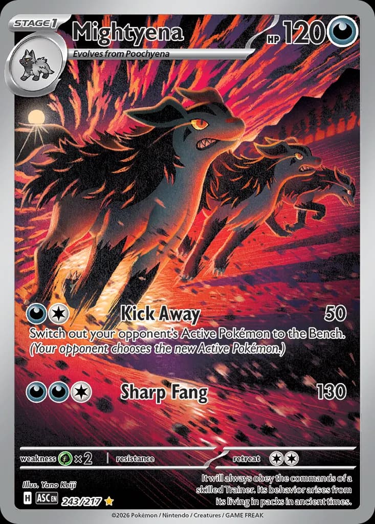 Mightyena — Ascended Heroes 243 Pokémon card