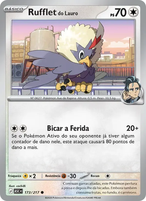 Rufflet do Lauro — Heróis Excelsos 173 Portuguese Pokémon card