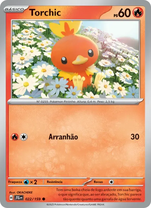 Torchic — Amigos de Jornada 22 Portuguese Pokémon card