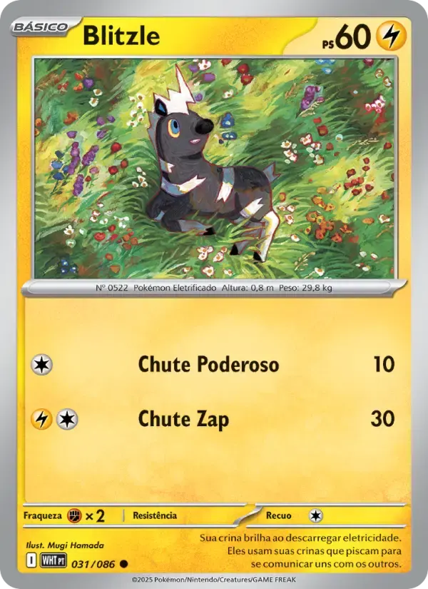 Blitzle — Fogo Branco 31 Portuguese Pokémon card