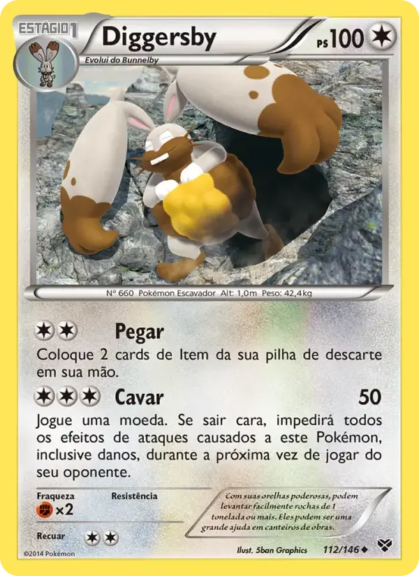 Diggersby — XY 112 Portuguese Pokémon card
