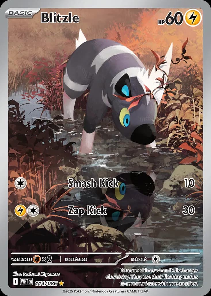 Blitzle — White Flare 114 Pokémon card