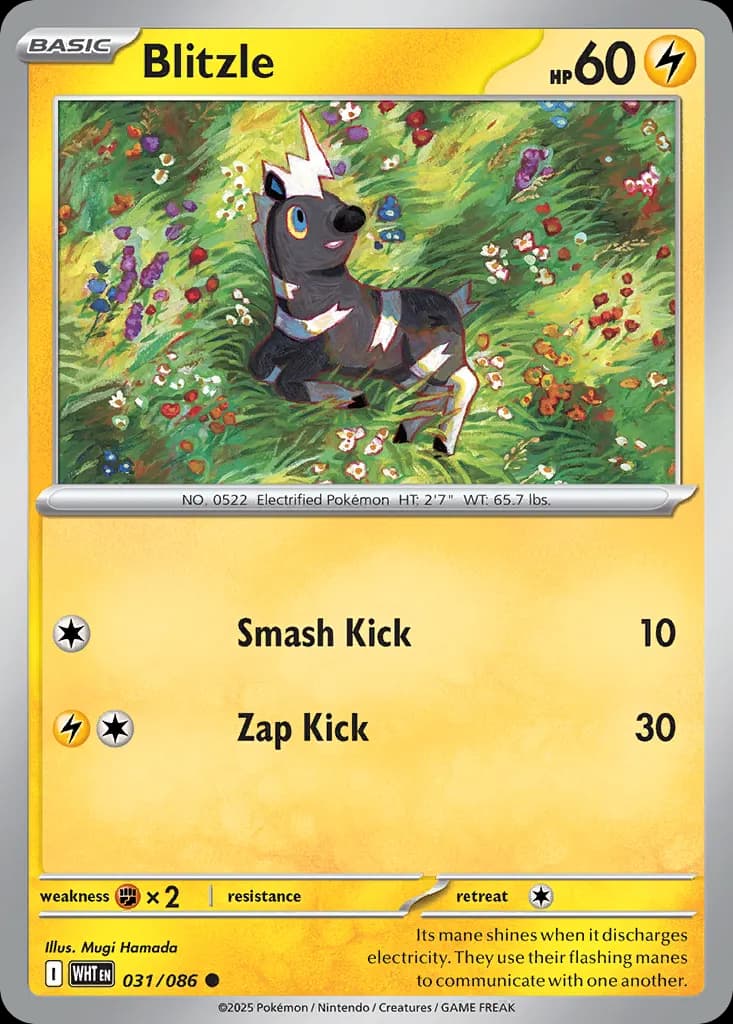 Blitzle — White Flare 31 Pokémon card