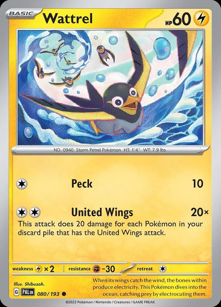 Wattrel — Paldea Evolved 80 Pokémon card