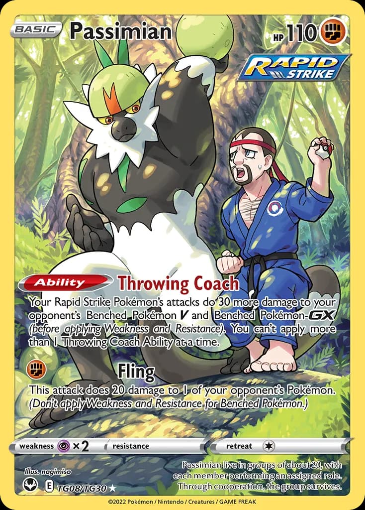 Quartermac — Tempête Argentée Galerie de Dresseurs TG08 French Pokémon card