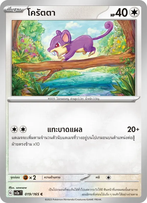 โครัตตา — SV2A 19 Thai Pokémon card
