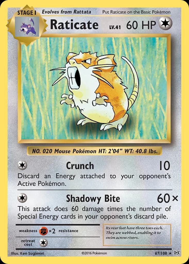 Raticate — Evolutions 67 Pokémon card