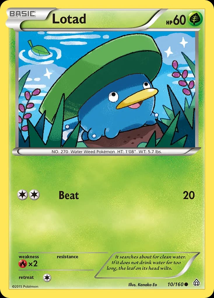 Lotad — Primal Clash 10 Pokémon card