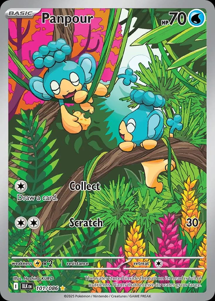 Panpour — Black Bolt 101 Pokémon card