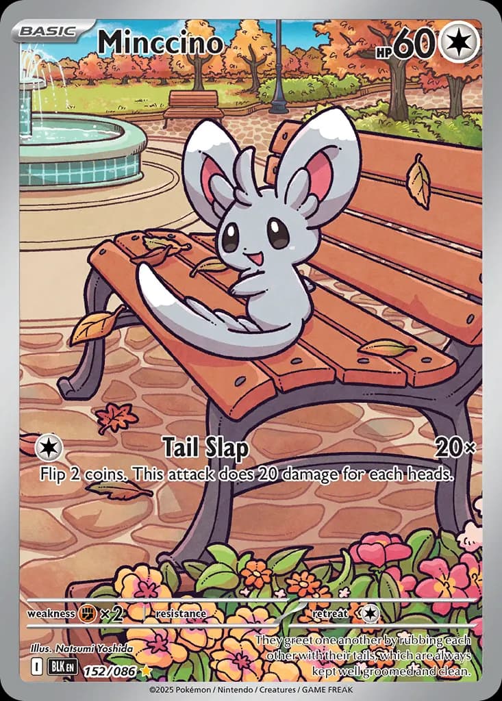 Minccino — Black Bolt 152 Pokémon card