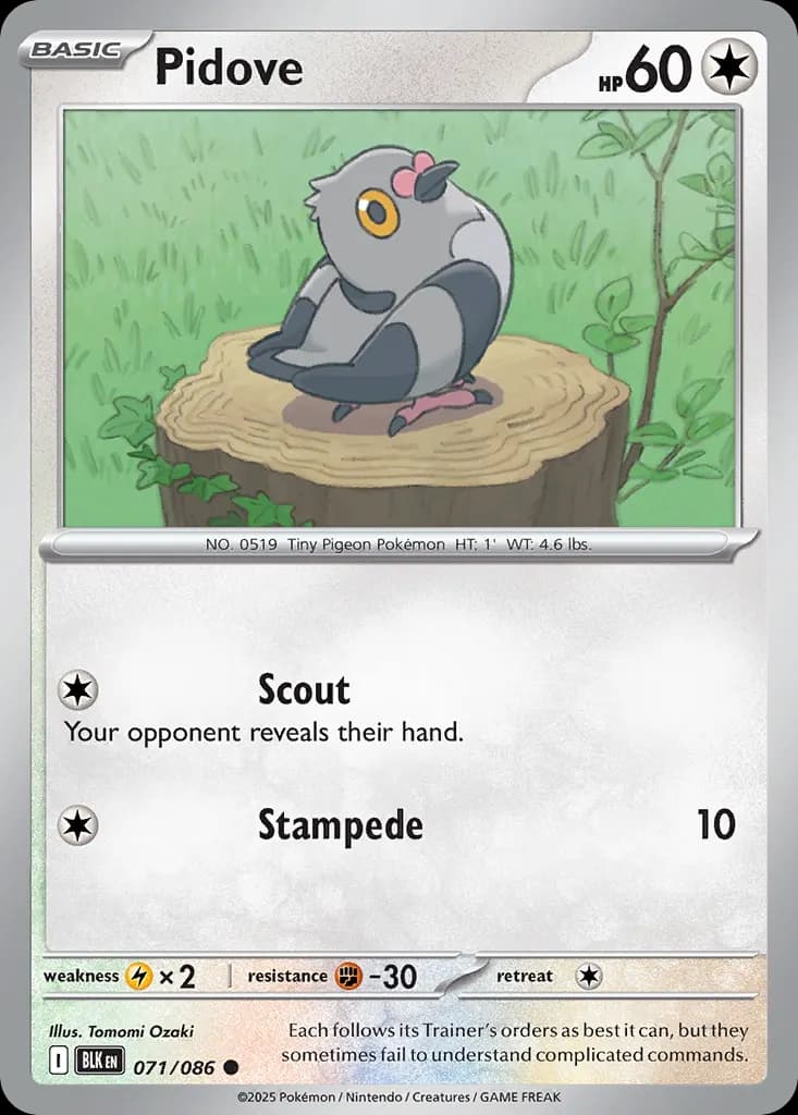 Pidove — Black Bolt 71 Pokémon card